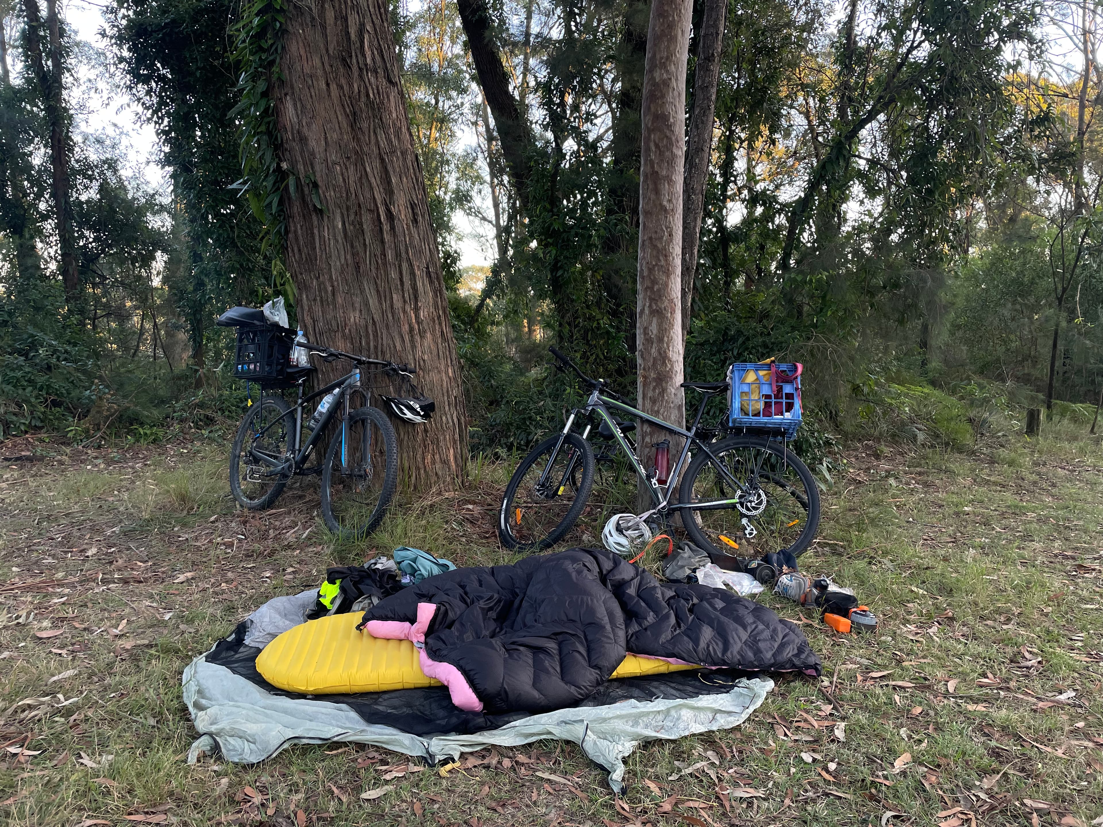 From Waiting for the Harvey's