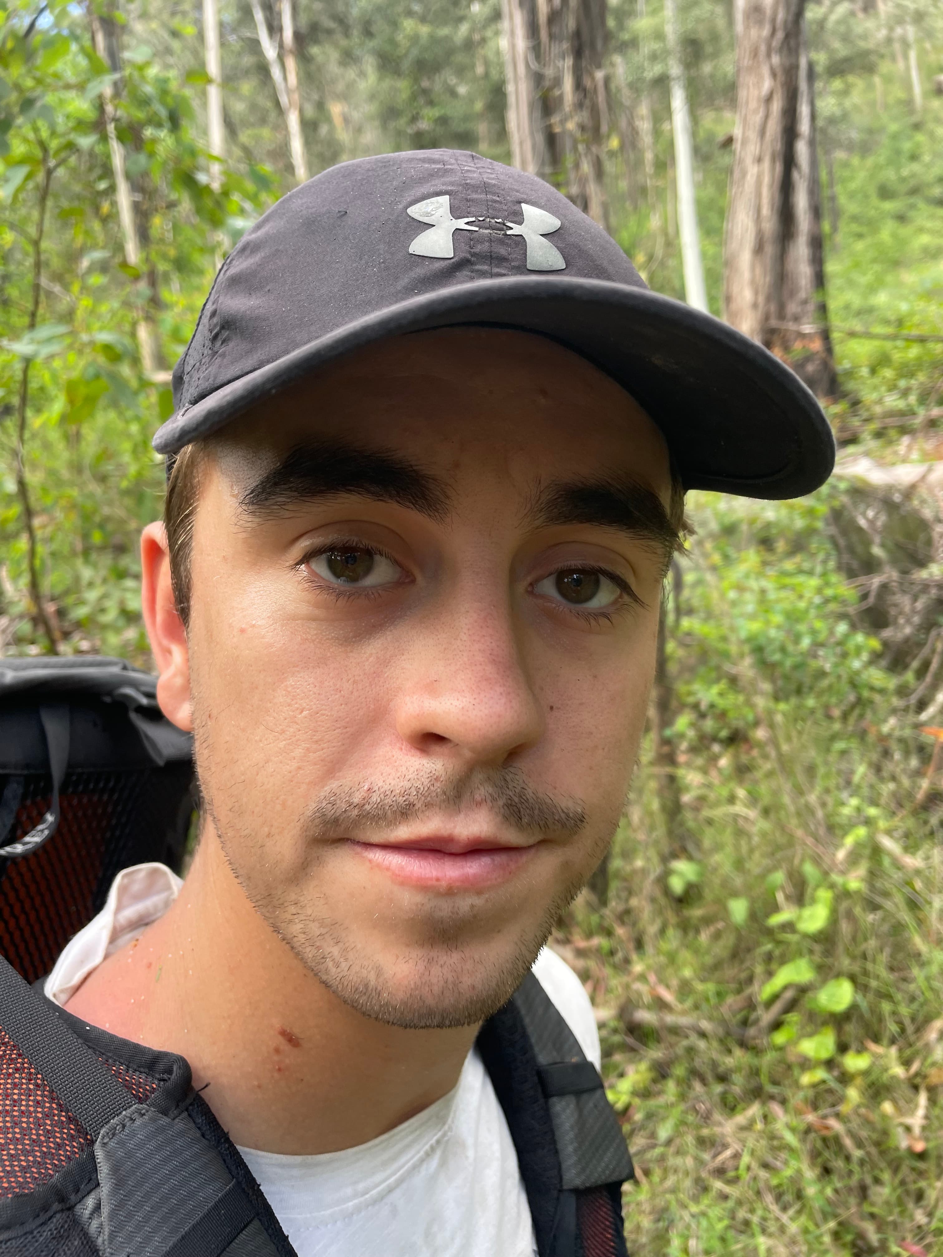 From Waiting for the Harvey's